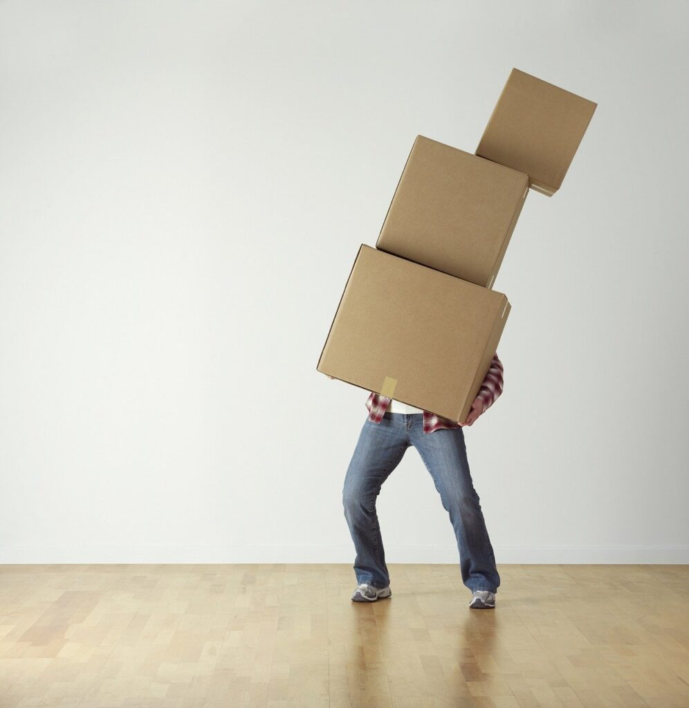Professional Movers