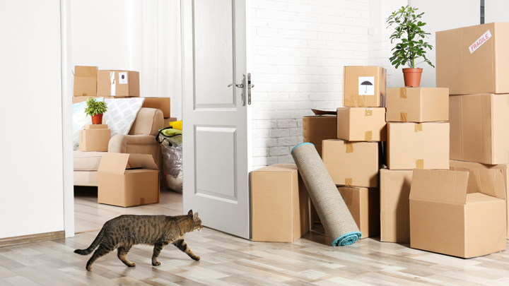 long distance moving and storage company in Overland Park